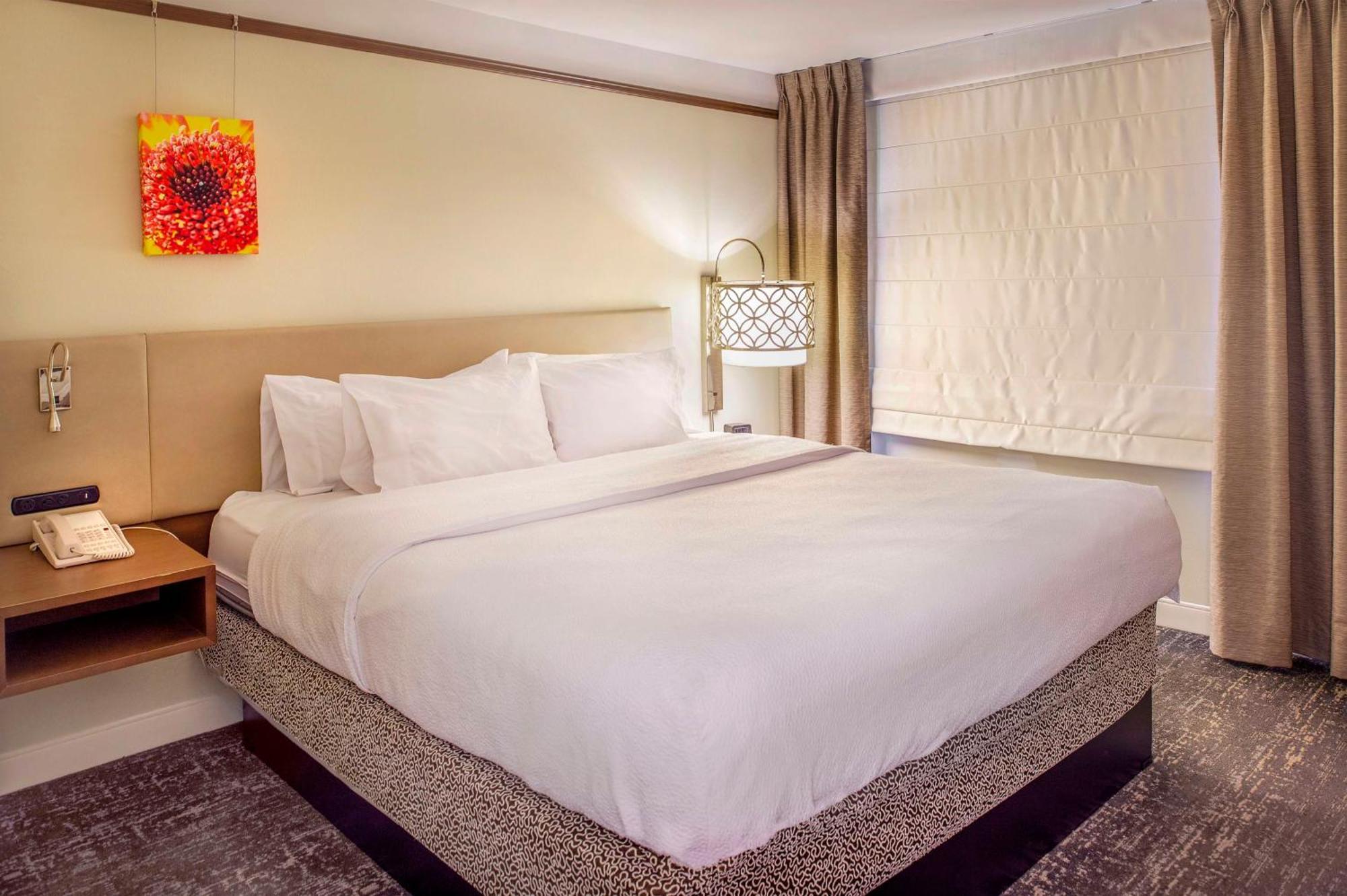 Junior King Suite with Sofa Bed - Non-Smoking